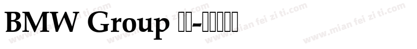 BMW Group 中文字体转换